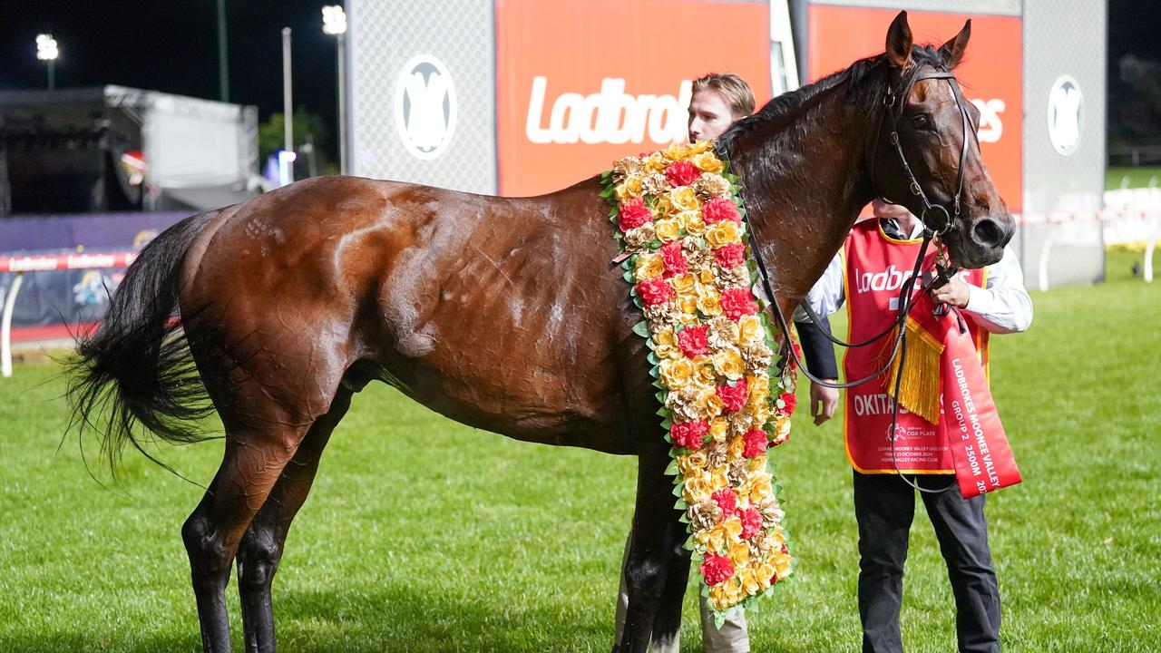 Okita Soushi after winning the Ladbrokes Moonee Valley Gold Cup. (Photo by Scott Barbour/Racing Photos via Getty Images)