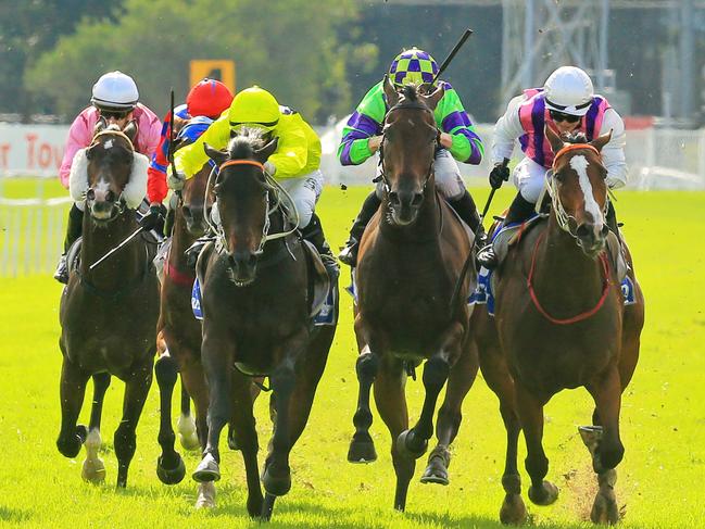 Danish Twist (bright yellow) ridden by Brenton Avdulla wins race 5 during Hawkesbury Races, Clarendon. The fields today are favoring the outside rail. Pic Jenny Evans