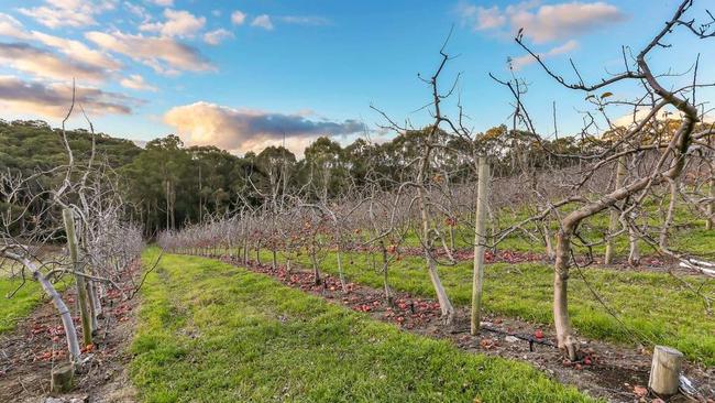 The property grows around 10 hectares of apple varieties annually, including gala, fuji and red delicious.