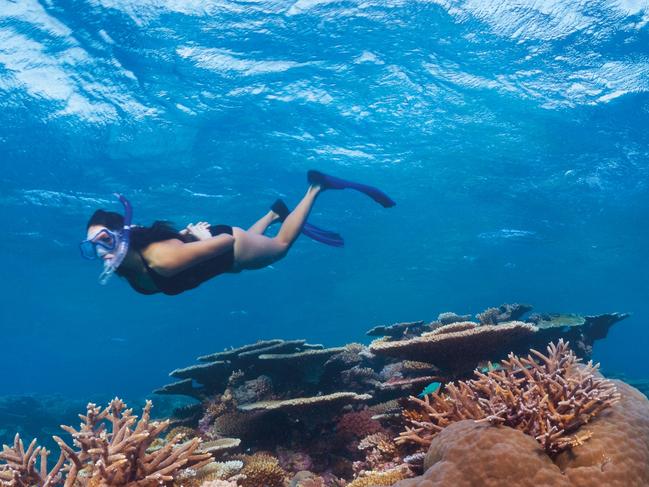 ESCAPE: RELAUNCH STOCK SHOT - a woman snorkeller pictured on the Great Barrier Reef - coral. Picture: Tourism Queensland