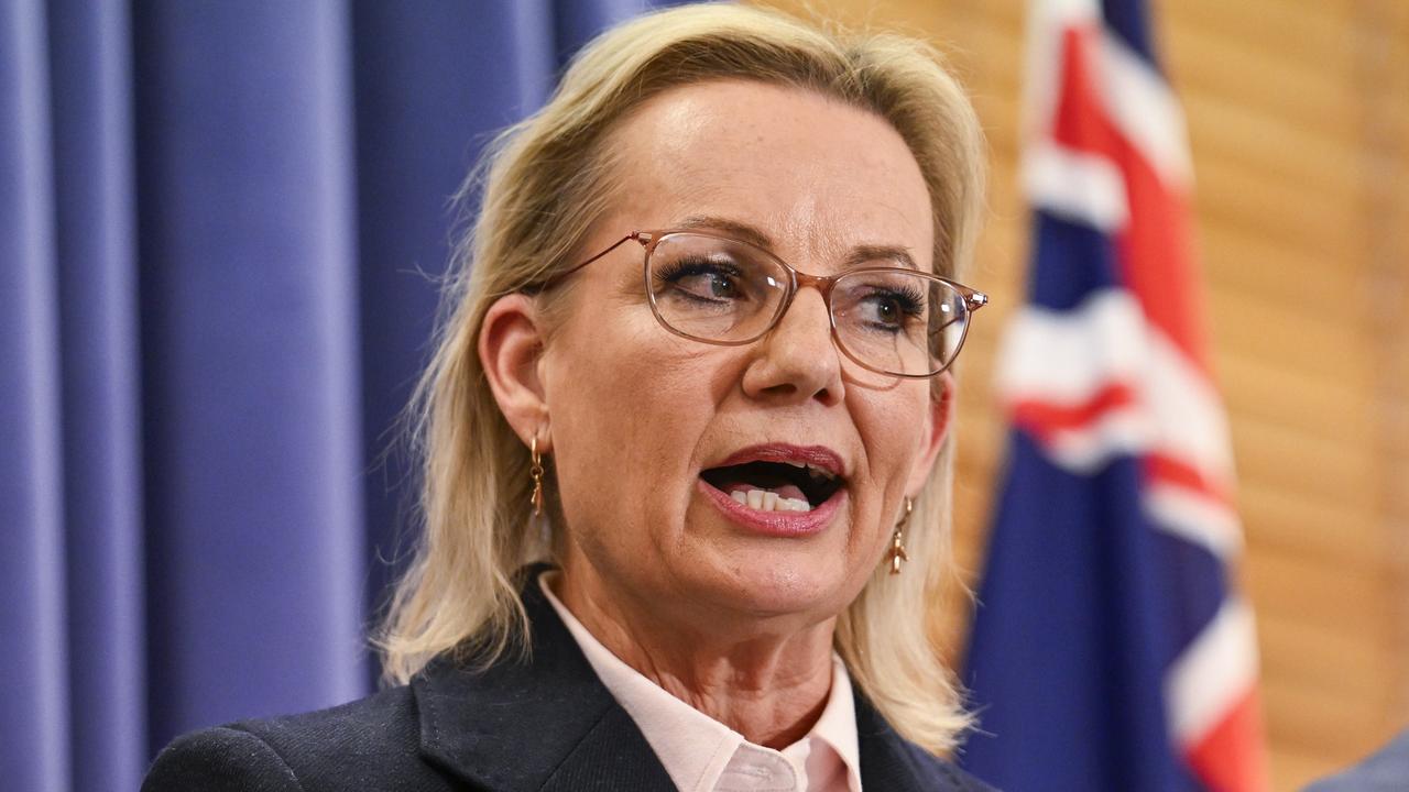 Credlin: Why Liberal party gender quotas debate does my head in