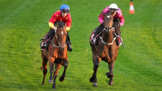 Militarize (left) handled Moonee Valley with aplomb when he galloped with Fangirl at the Breakfast With The Best sesssion on Tuesday. Picture: Scott Barbour–Racing Photos via Getty Images