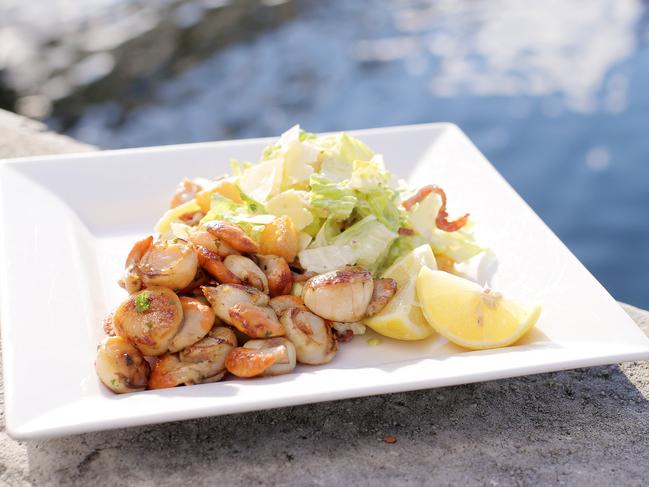 Fish Frenzy's pan-seared fresh Tasmanian scallops with salad and a glass of Tasmanian white wine.