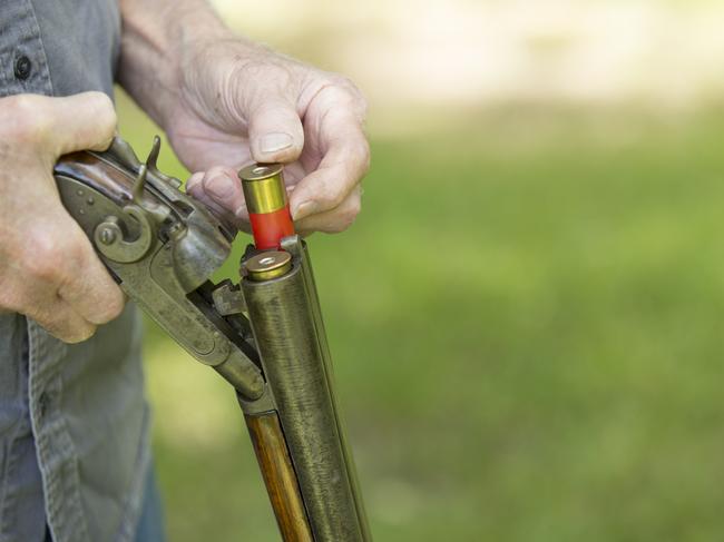 Senior Man  loading an antique 12 gauge double barred shot gun.  He is testing it prior to purchase or sell.  He is outside, green grass in background.