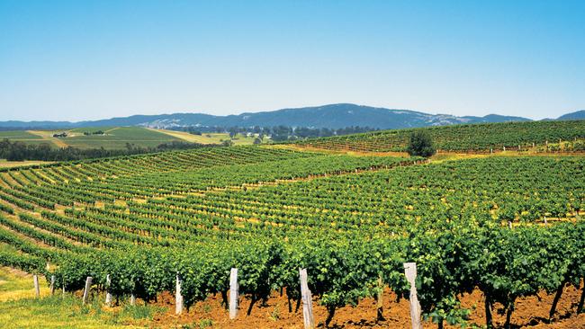 Areas such as the NSW HunterValley offer better value.