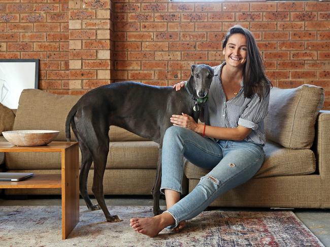 Olympic volleyballer Bec Palmer shares special bond with greyhound, Sterling