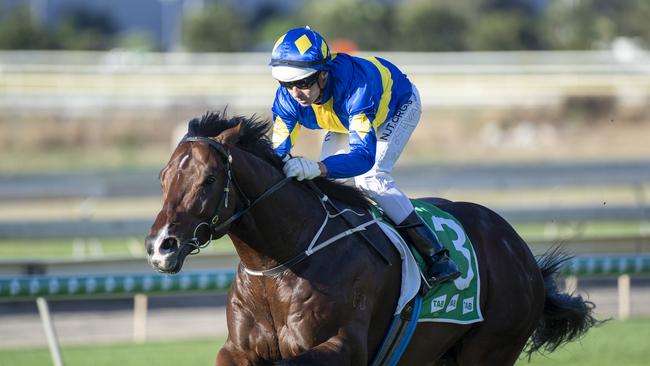 Brad Stewart rides Dawn Passage to victory in the Tab Fred Best Classic last Saturday. Picture: AAP/Supplied by Michael McInally, Racing Queensland