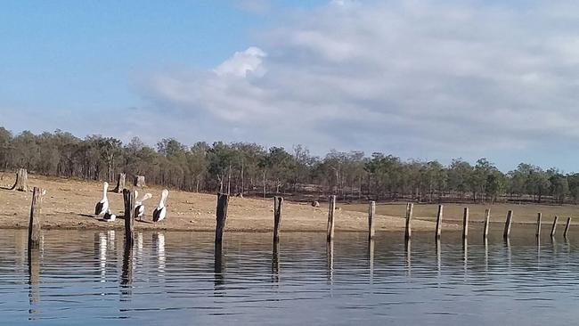 Water levels at Wivenhoe Dam dropped significantly over the summer. Picture: NRM/Diane Welbourn.