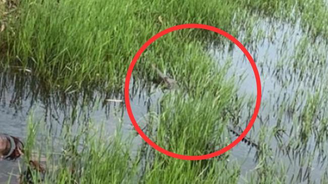 Madison Edward of Woodroffe spotted a freshwater crocodile while cutting the grass along McMillans Rd at Knuckey. Picture: Madison Edward