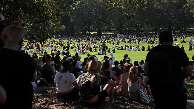 Crowds gathered in the Domain this morning. Picture: Richard Dobson