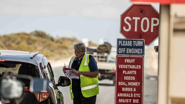 Quarantine officials at the WA border are working through a 1km-long traffic jam as hundreds of motorists race to get across before new border restrictions come into force today.