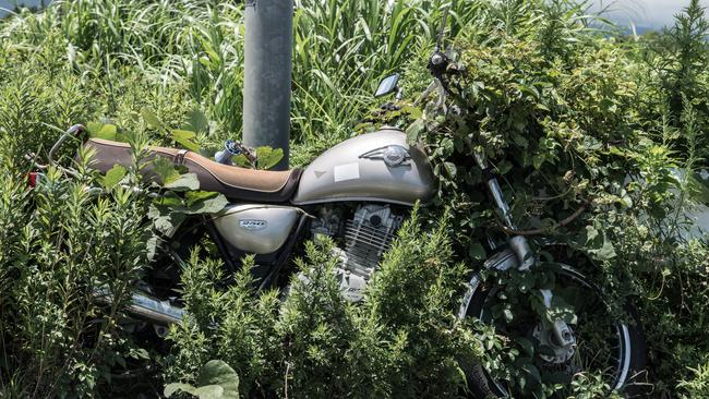 Since the disaster weeds have grown over items that were left behind. Picture: Arkadiusz Podniesinski/REX Shutterstock