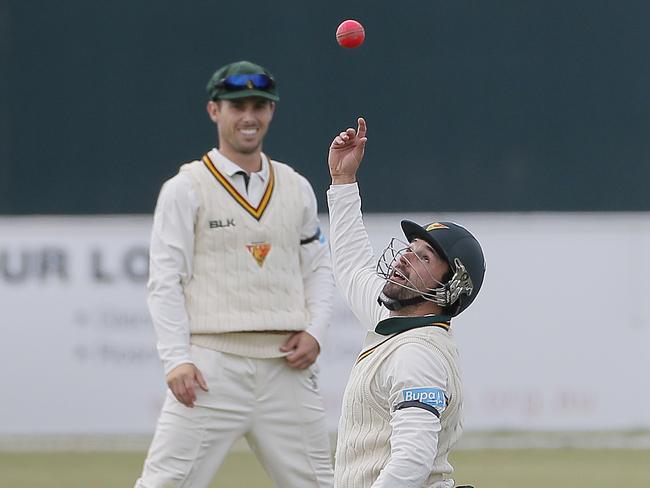 Ed Cowan with the new pink ball.