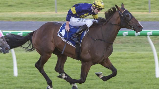 Declarationofheart at Morphettville Picture: Akins Photography