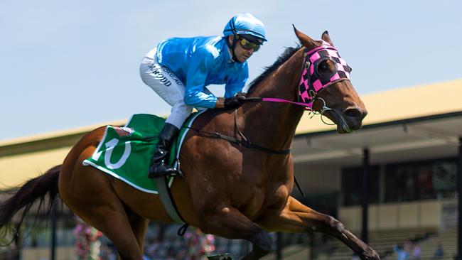 Ziemba can turn the tables on Roman Aureus. Picture: AAP