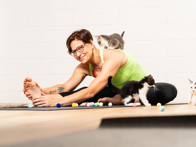 Yoga and kittens: Stretching for a cause