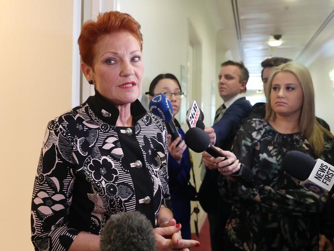 Senator Pauline Hanson during a doorstop at Parliament House in Canberra. Picture Gary Ramage