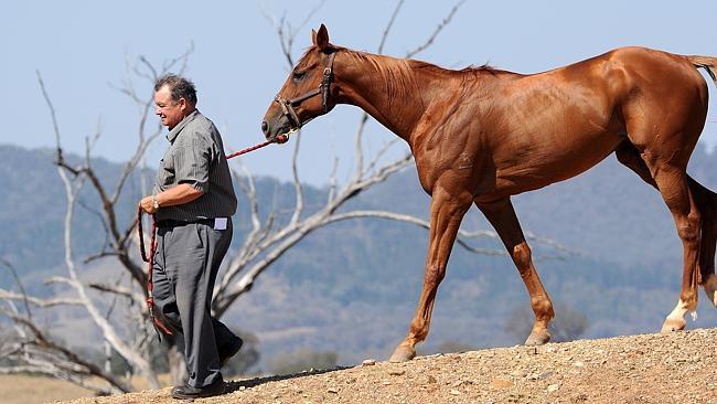  James Thompson with provincial legend Star Of Universe. Picture: Peter Lorimer