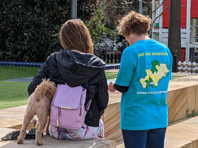 A Wakehurst's Independent organiser talking to a voter in Dee Why late last year. Picture: Supplied