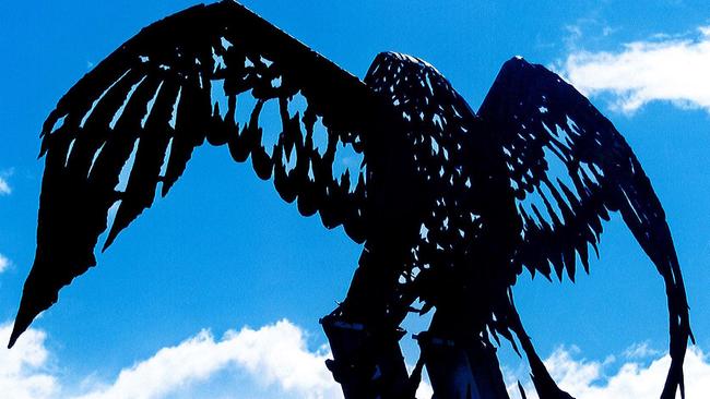 READERS BEST PIC: Kirra Hill's majestic eagle. Supplied by Cynthia Barrow, Tweed Heads.