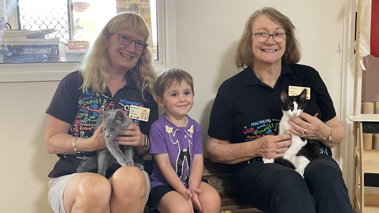 RSPCA volunteers and kittens visit Rosemont Cottage in Toowoomba to teach kids about how to care for animals.