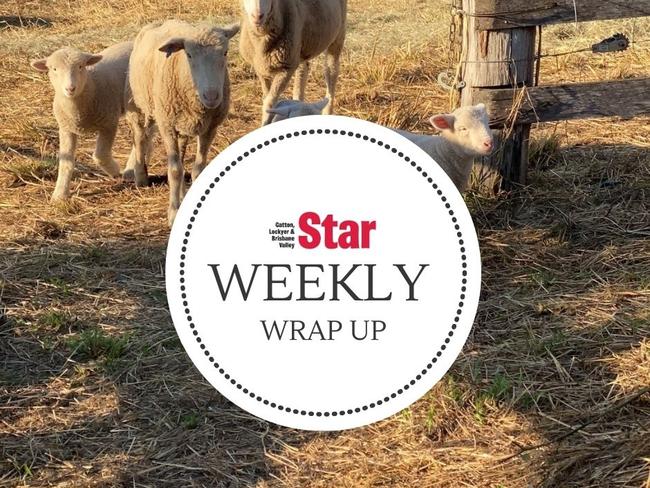 Gatton Star weekly wrap-up.