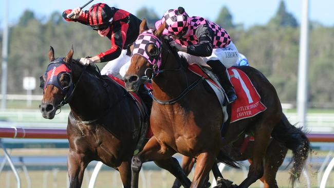 Hopfgarten finishes strongly to win the Ascot Handicap at the Sunshine Coast. Picture: Grant Peters, Trackside Photography