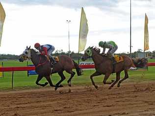 Gully Command and jockey Anthony Allen won the 2017 Roma Cup. Picture: Alexia Austin