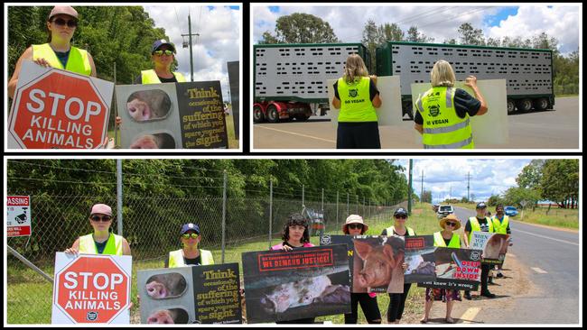 Animal activists target Swickers pig abattoir in Kingaroy, Dec 15, 2020. The group, which includes some locals, is part of Brisbane Animal Save and have protested at the site in previous years.