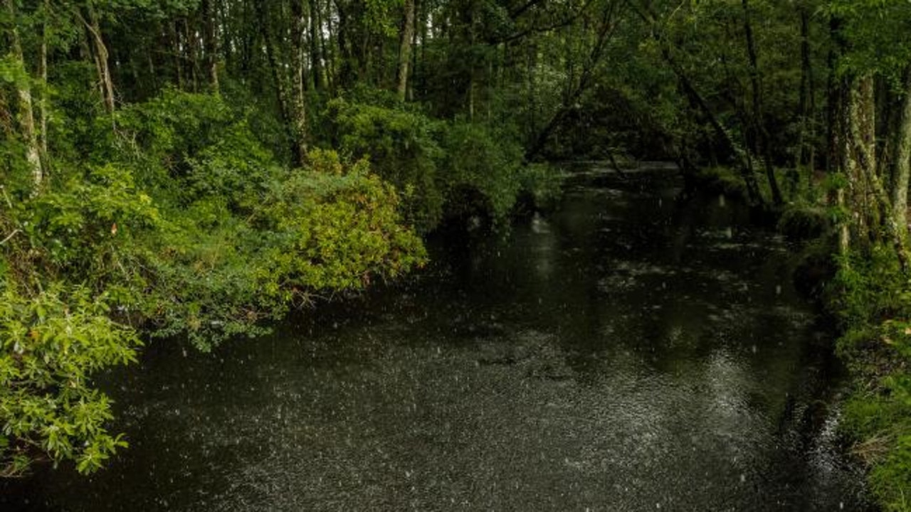 James Jordan's body was found draped over a tree limb in Gum Swamp. Source: Getty Images