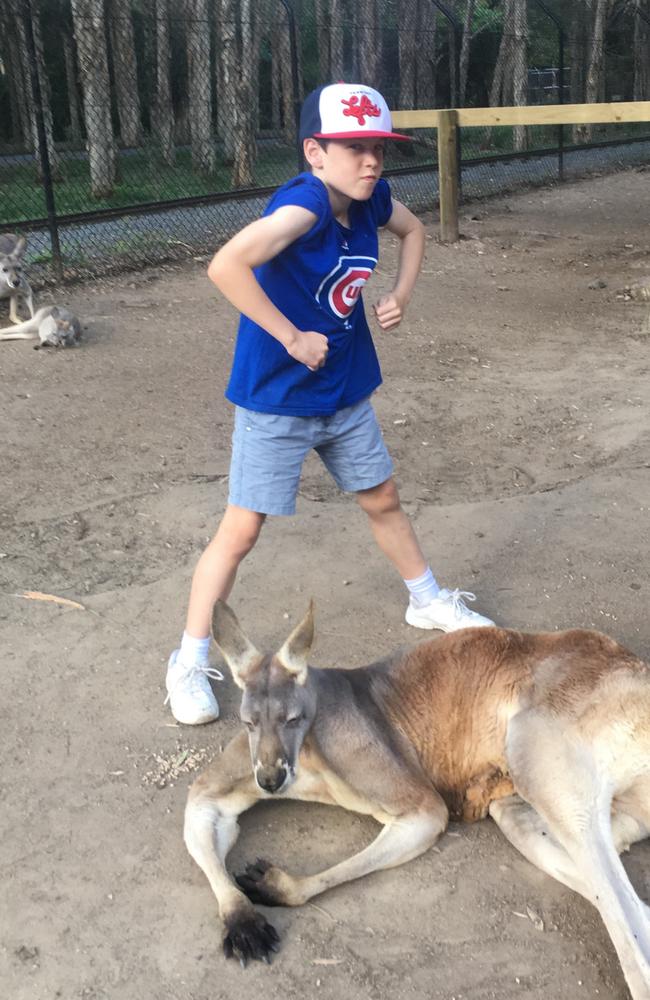 Cooper with a kangaroo at Currumbin Wildlife Sanctuary.