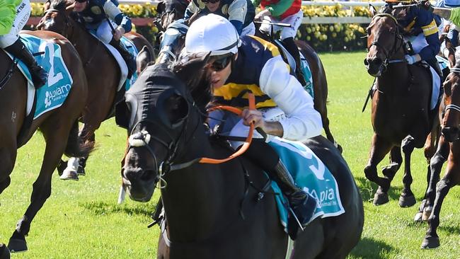 Sea King (GB) ridden by Declan Bates wins the Apiam Bendigo Cup at Bendigo Racecourse on October 30, 2024 in Bendigo, Australia. (Photo by Pat Scala/Racing Photos via Getty Images)