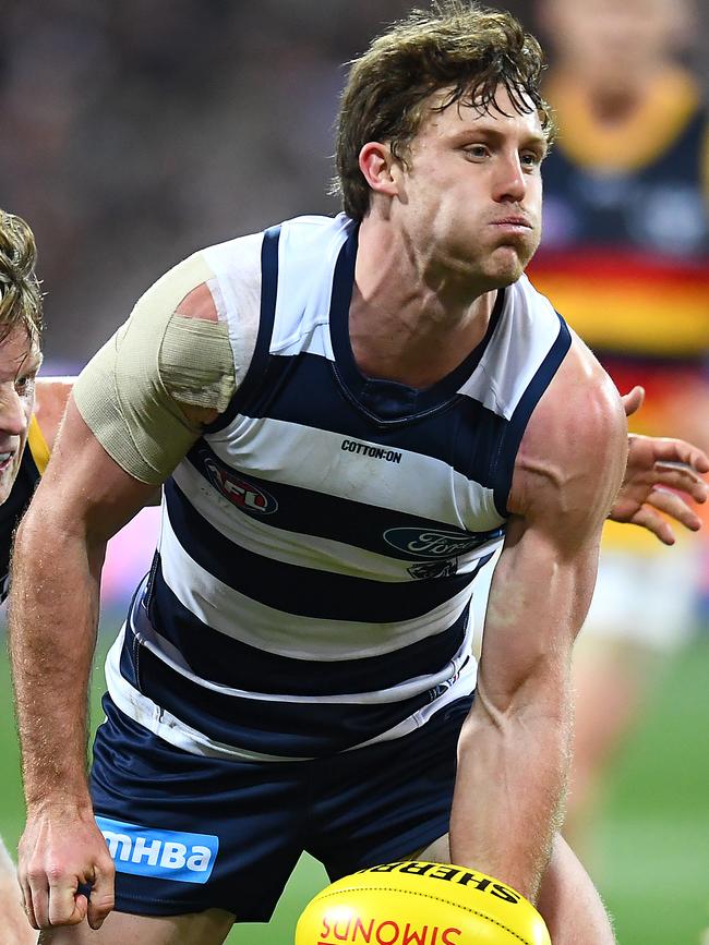 Jed Bews is one of the Cats’ few genuine small defenders.