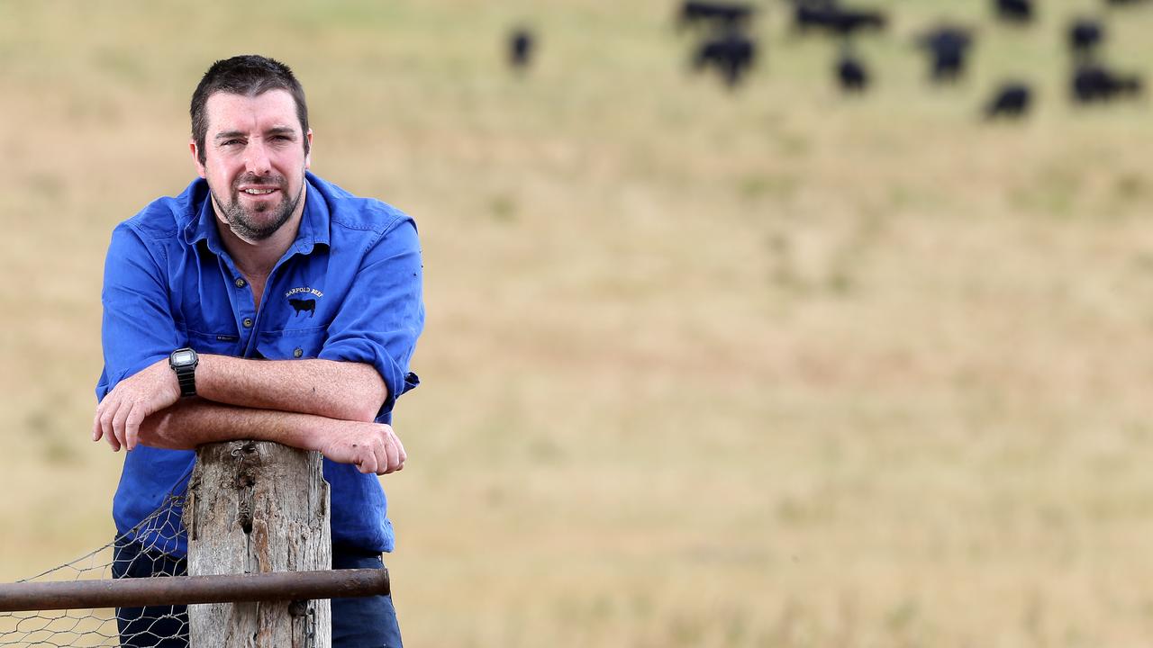 Quality counts: Barfold Beef farmer Matthew Shea on his farm. Picture: Yuri Kouzmin