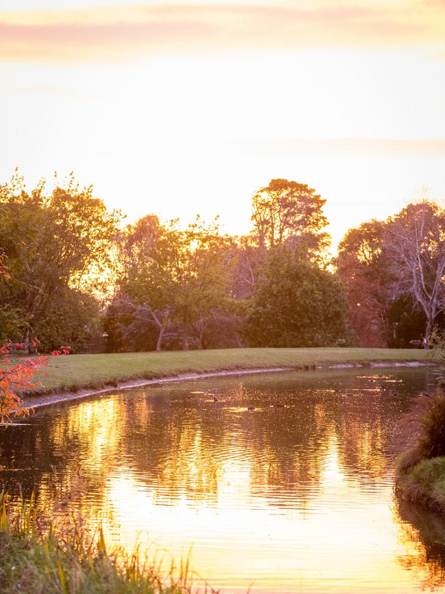 In autumn the garden gives off a deep, romantic glow.