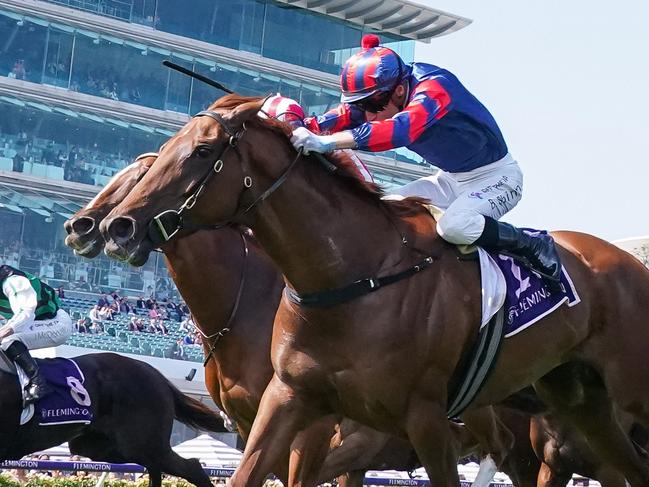 Picaroon ridden by Blake Shinn wins the Melbourne Cup Carnival Country Final at Flemington Racecourse on November 09, 2023 in Flemington, Australia. (Photo by Scott Barbour/Racing Photos via Getty Images)