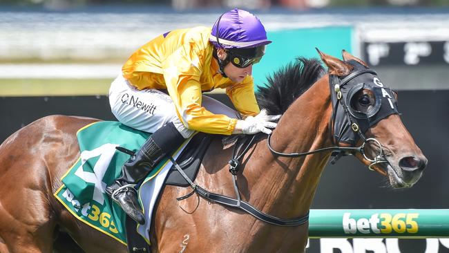 Teofilo Star steps up in distance and class but can win again. Picture: Racing Photos via Getty Images