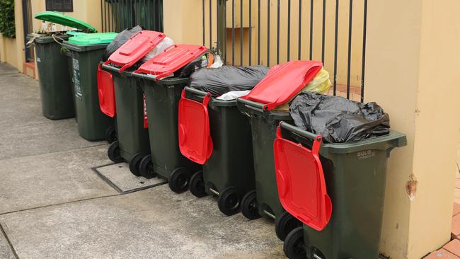 Debate swirled over when it was okay to place your rubbish in others’ bins. Picture: Rohan Kelly.