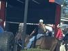 Would you like hay with that? Horses hit Macca’s drive-thru