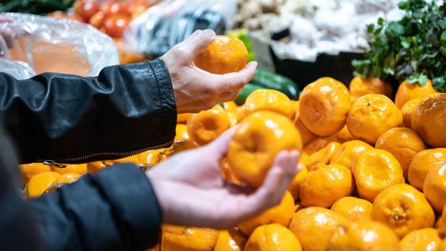 SYDNEY, AUSTRALIA - NewsWire Photos , 31 July, 2022: Members of the public are seen groceries shopping at Paddy market in Sydney. Picture: NCA NewsWire / Flavio Brancaleone