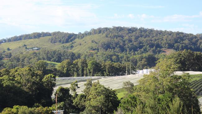 The view south into North Boambee Valley from North Boambee Road. Photo: Tim Jarrett