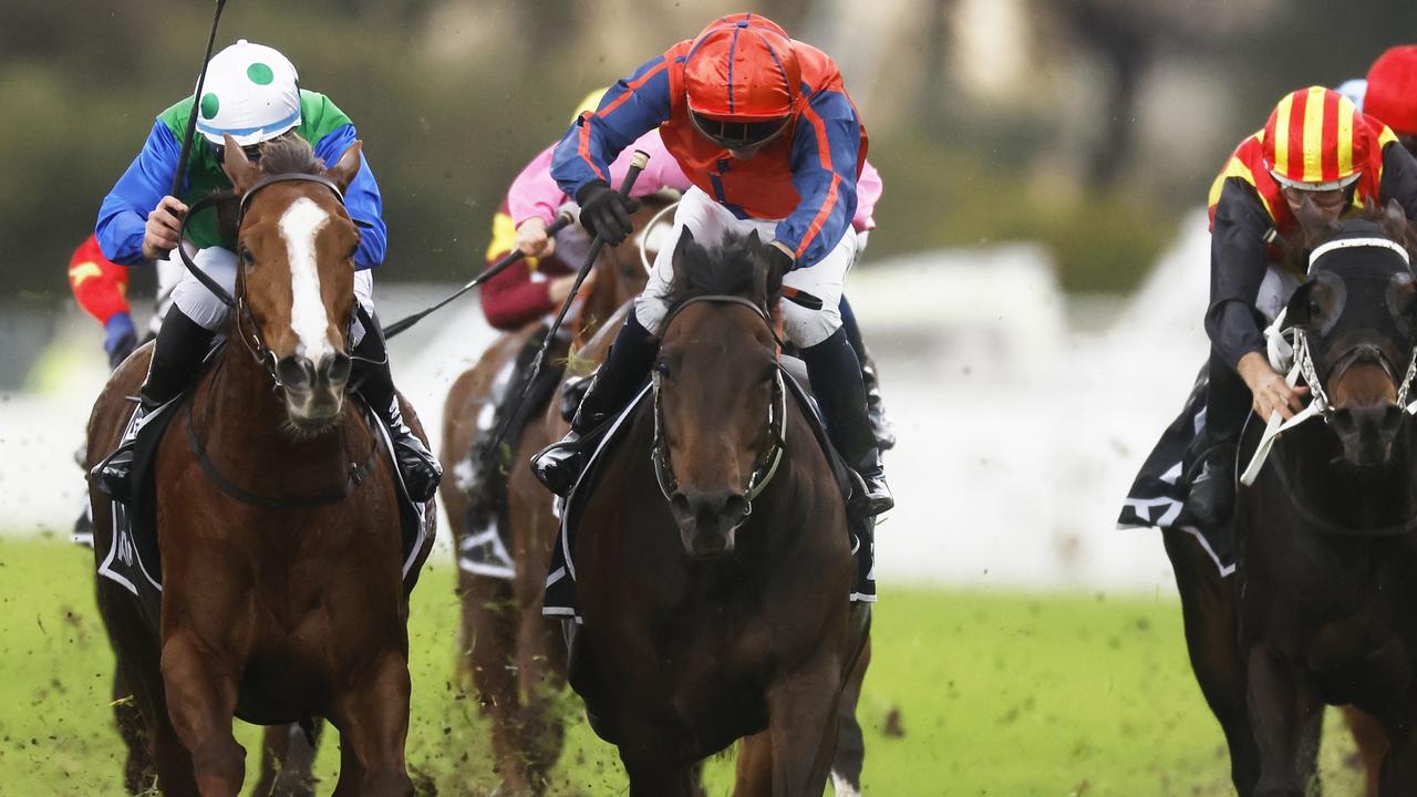 Night Of Power will find the 2000m to his liking on Saturday. Picture: Getty Images