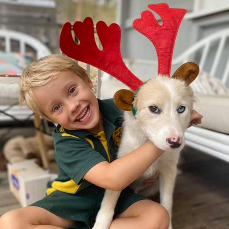 Goldie the border collie. Submitted by Dimiti Gaffney.