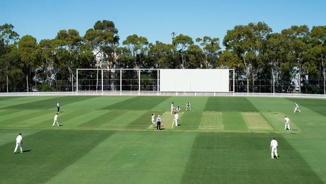 NSW Premier Cricket grand final. Photo: Cricket NSW