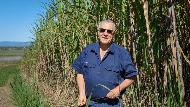 Queensland and Australian Canegrowers chairman Paul Schembri. Picture: Contributed