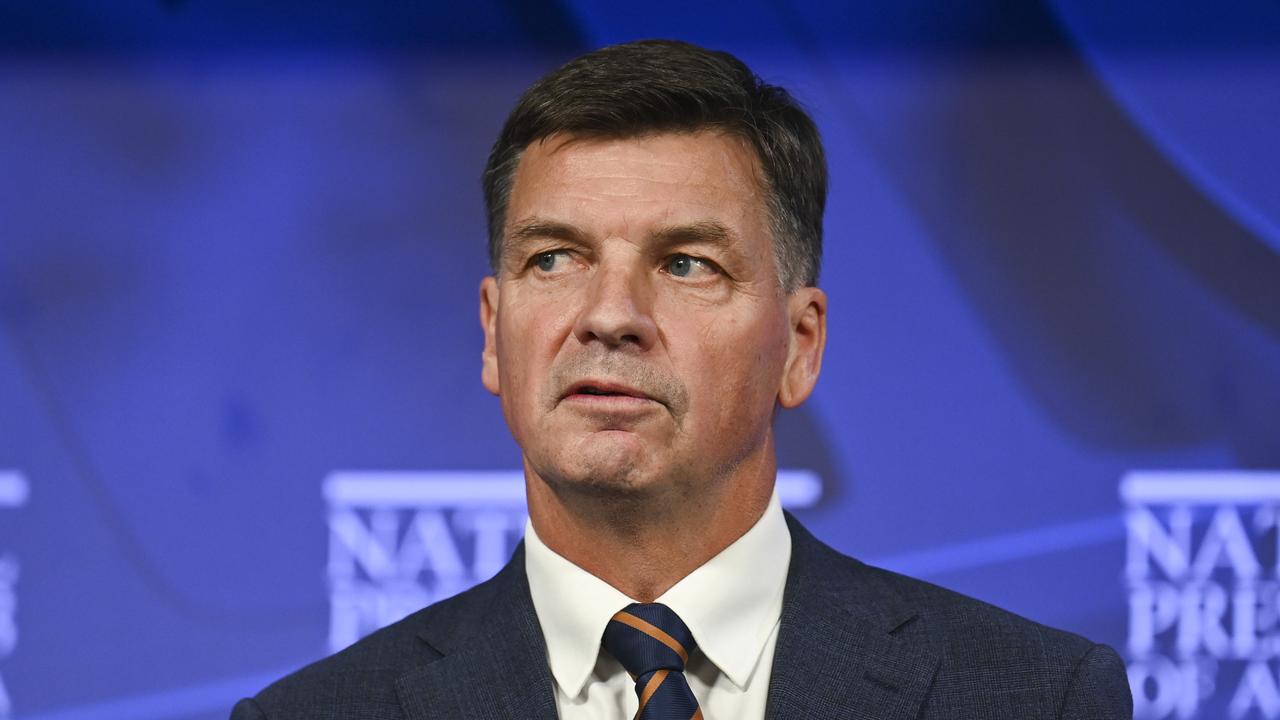 Shadow treasurer Angus Taylor appeared to contradict himself when arguing that the net migration intake would be cut by 25 per cent from mid-2026 under a Coalition government. Picture: NewsWire / Martin Ollman