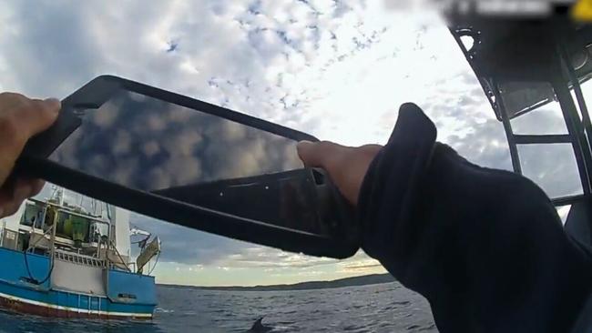 Marine authorities swoop on a trawler in waters off North Stradbroke Island where a dolphin is seen swimming at the boat’s stern. Picture: DES