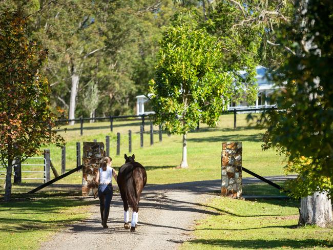 One of the most beautiful properties in the Sunshine Coast Hinterland, with lush rolling hills and easy access to Noosa Main Beach, has just hit the market with Ray White Pomona Hinterland.