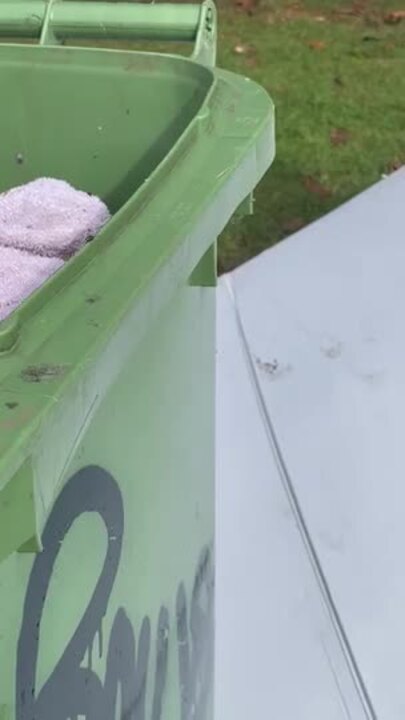 Poor condition of Gold Coast homeless tent city.