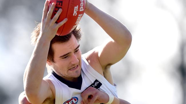 TAC Cup: Dandenong Stingrays v Northern Knights Knights #5 Kieran Malone takes a strong mark. Shepley Oval, Dandenong. Picture: Jason Sammon Saturday 30th May 2015